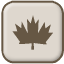 maple icon