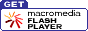 Get Flash Icon